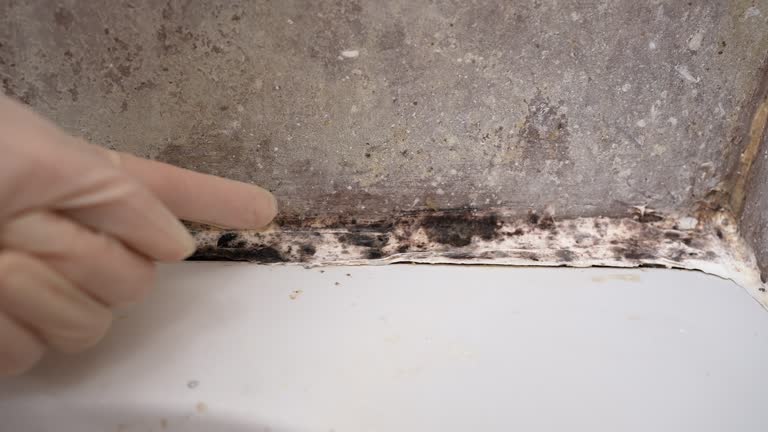 Best Residential Mold Inspection & Testing  in San Leon, TX